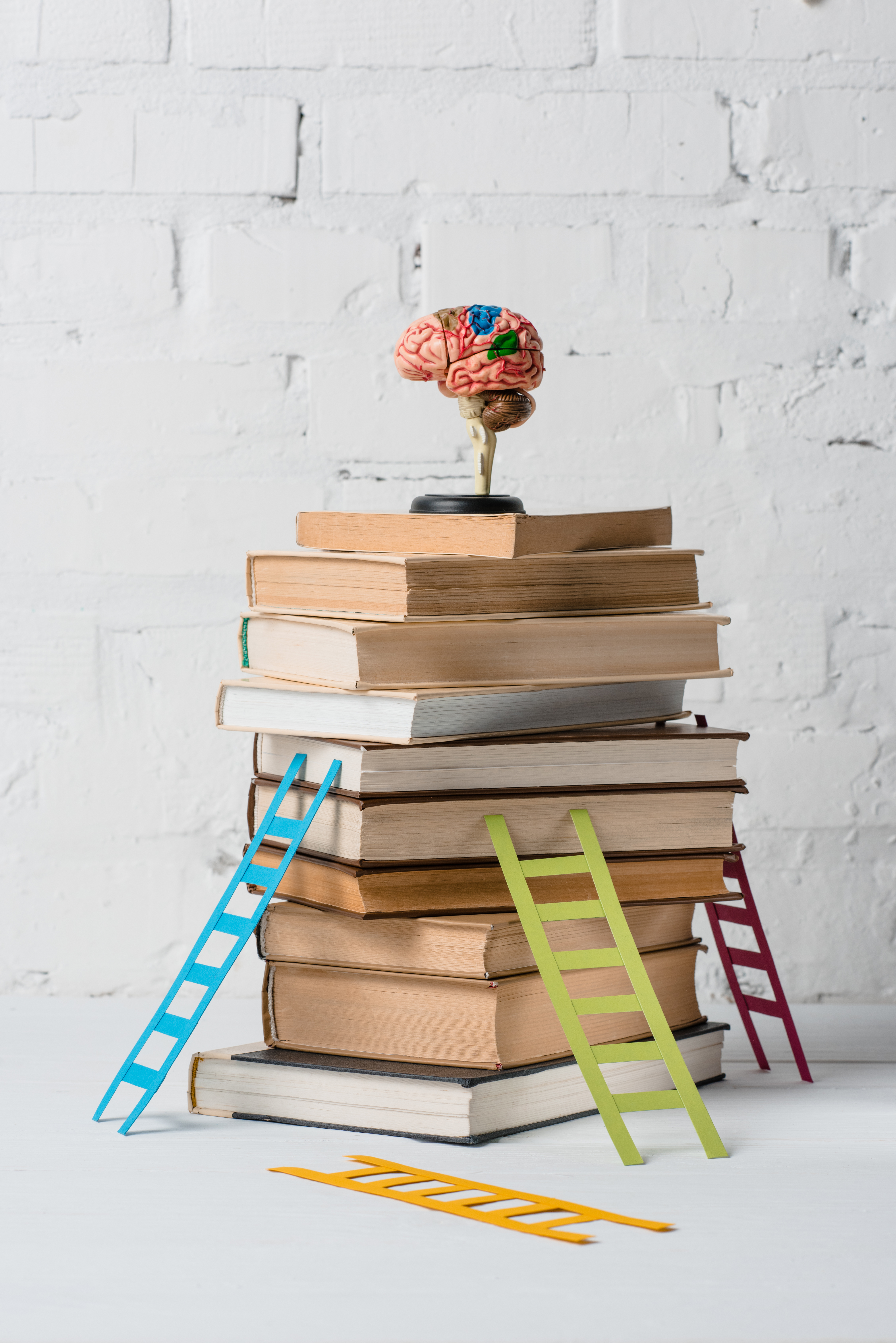 brain model on pile of books and small colorful step ladders